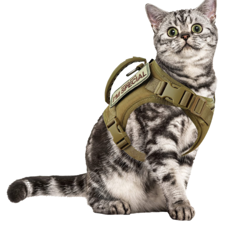 Feline Tactical Scout Vest - Adjustable K9 Style Cat Harness & Leash Set (Water-Resistant)